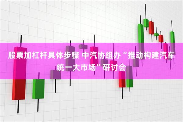 股票加杠杆具体步骤 中汽协组办“推动构建汽车统一大市场”研讨会