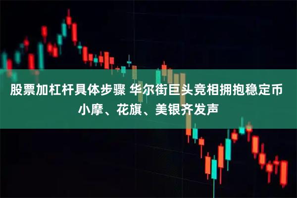 股票加杠杆具体步骤 华尔街巨头竞相拥抱稳定币 小摩、花旗、美银齐发声